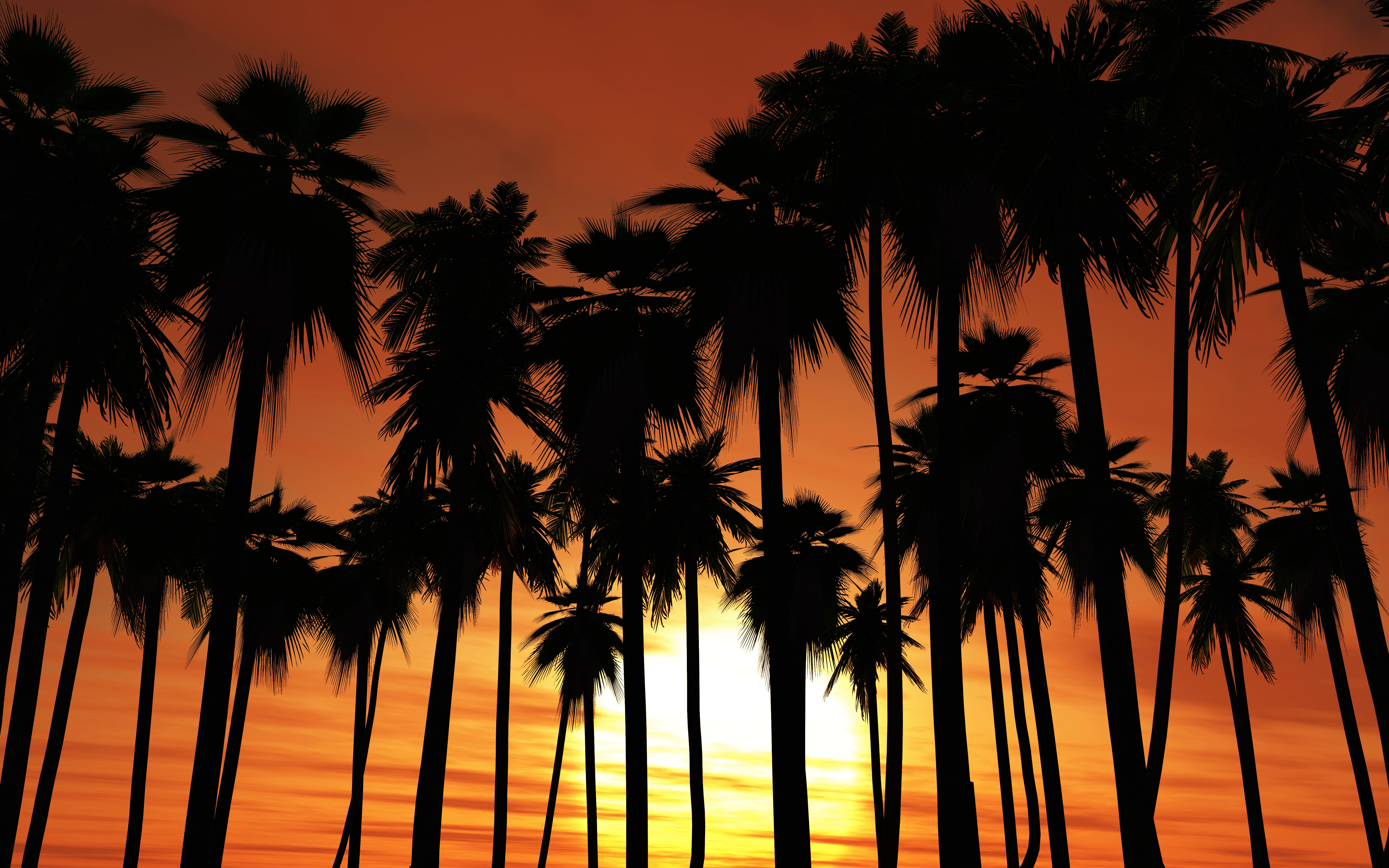 Palm tree silhouettes against a vibrant orange sunset, representing the sunny South Orange County real estate market 2026.